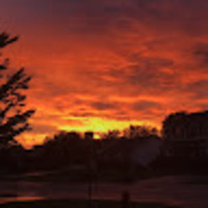 Meet your Posher, Alyona